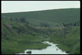 028011 Fence Across Gully, Horse And Cow A4 Photo Print