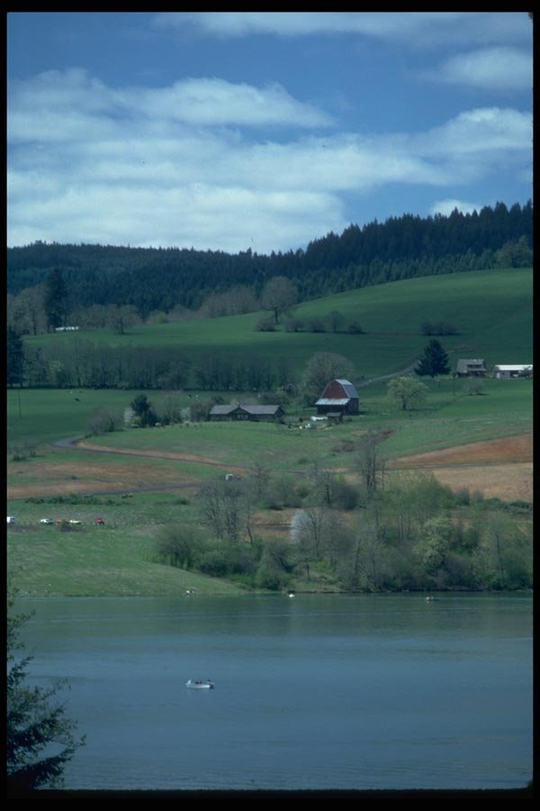 028012 Farm And Fishing Lake A4 Photo Print