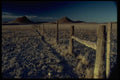 028020 Rustic Fence, Yellow Grazing Land A4 Photo Print
