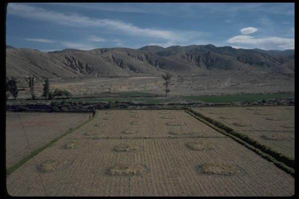 028021 Harvested Field With Mounds A4 Photo Print