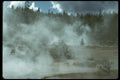 028022 Steam Rising From Meadow A4 Photo Print