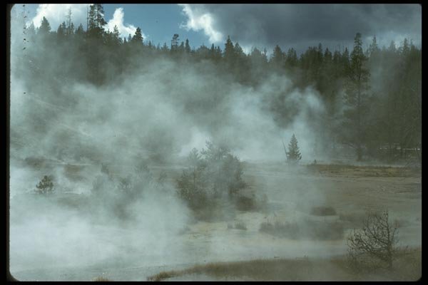 028022 Steam Rising From Meadow A4 Photo Print