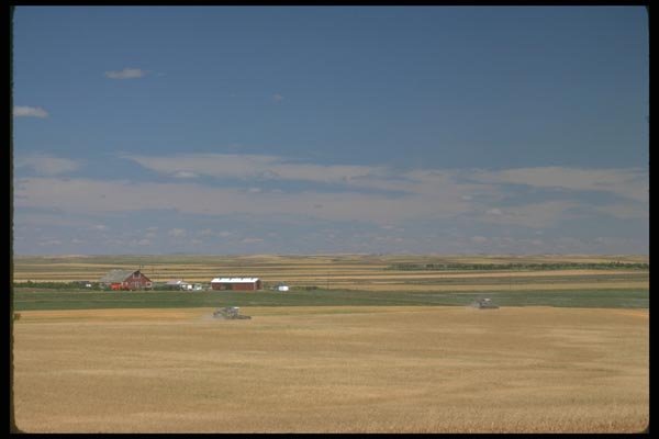 028026 Wheat Farm A4 Photo Print