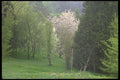 028028 Hillside Clearing In Spring A4 Photo Print