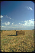 028029 Hay Bales On Ground A4 Photo Print