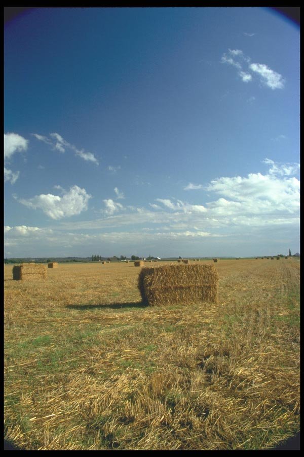 028029 Hay Bales On Ground A4 Photo Print