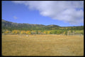 028030 High Pasture In Fall A4 Photo Print