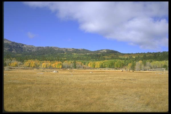 028030 High Pasture In Fall A4 Photo Print