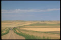 028032 Access Road Through Cropland A4 Photo Print