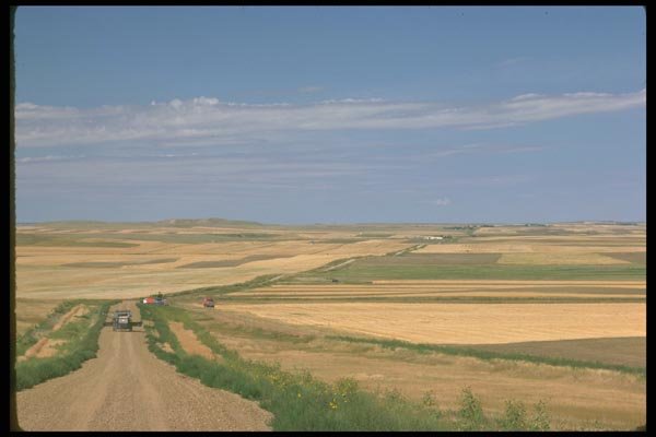 028032 Access Road Through Cropland A4 Photo Print