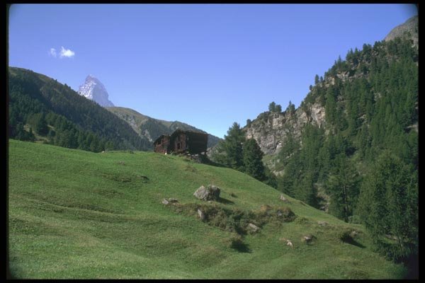028041 Alpine Field With Peak A4 Photo Print