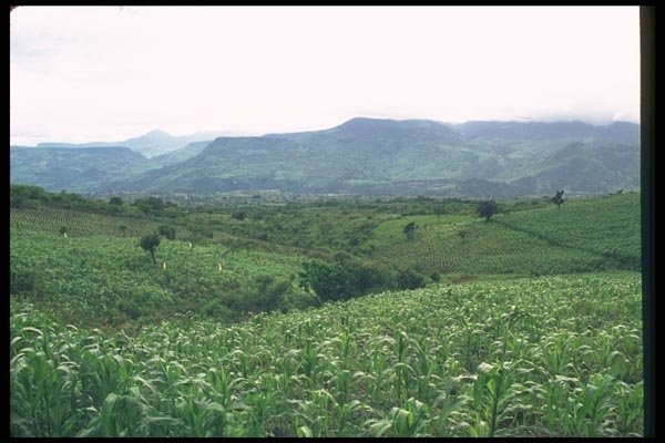 028066 Slopes Of Corn A4 Photo Print
