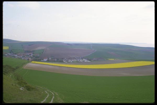028071 Patchwork Of Green And Yellow A4 Photo Print