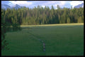 028079 Mountain Meadow With Deer A4 Photo Print