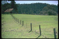 028081 Sheep Pasture With Barn A4 Photo Print