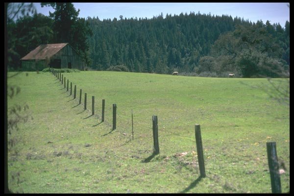 028081 Sheep Pasture With Barn A4 Photo Print