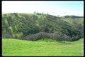 028082 Shade patterned Rolling Pastures A4 Photo Print