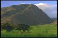 028083 Green Cropland Next To Mountain A4 Photo Print