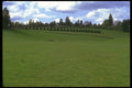 028089 Green Valley Pasture A4 Photo Print