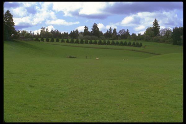 028089 Green Valley Pasture A4 Photo Print