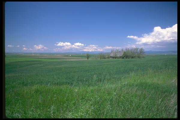 028090 Hay Fields And Farms A4 Photo Print