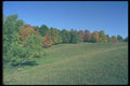 028091 Field And Fall Trees A4 Photo Print