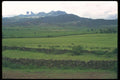 028092 Crop Lands And Rock Fences A4 Photo Print
