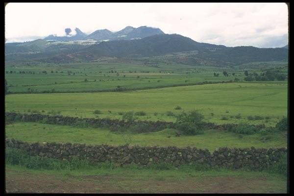 028092 Crop Lands And Rock Fences A4 Photo Print