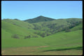 028093 Green Velvet Pastures A4 Photo Print