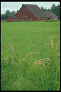 028095 Hay Field And Big Red Barn A4 Photo Print
