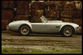 029000 Shelby 427 Cobra A4 Photo Print