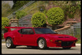 029005 Pantera A4 Photo Print