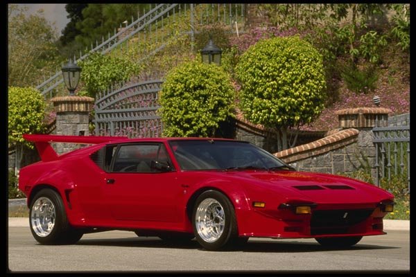 029005 Pantera A4 Photo Print