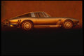 029037 Iso Grifo A3L A4 Photo Print