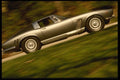 029038 Iso Grifo A3L A4 Photo Print