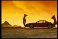 029046 Ferrari Boxer A4 Photo Print