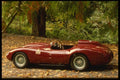 029079 Ferrari 412 MI A4 Photo Print