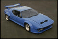 029082 Pantera A4 Photo Print