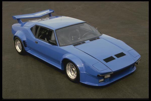 029082 Pantera A4 Photo Print