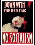 03 down with the red flag no socialism poster Advert A4 Photo Print