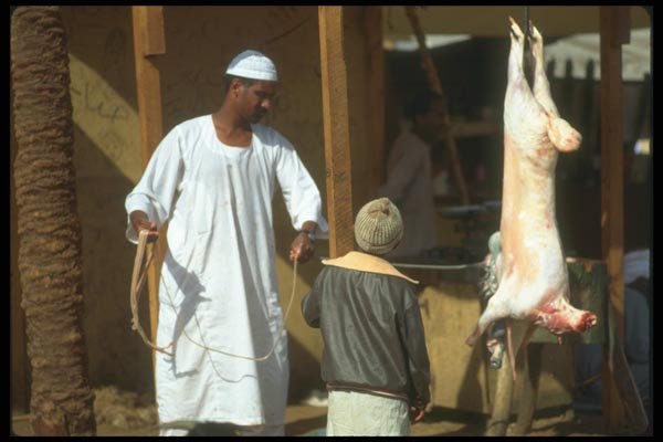 030041 Nubian Slaughtering A Sheep A4 Photo Print