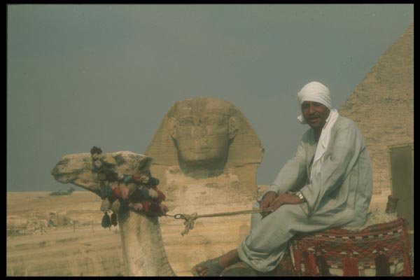 030049 The Sphinx Giza Plateau, Cairo A4 Photo Print