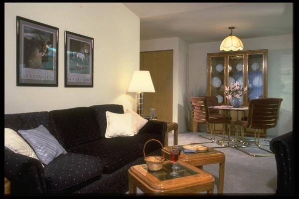 031064 Small Living Room And Dining Room A4 Photo Print