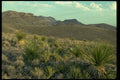 032003 Dry Hills, Green Vegetation A4 Photo Print