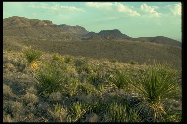032003 Dry Hills, Green Vegetation A4 Photo Print