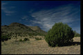 032012 Bush Covered Hills, Windswept Clouds A4 Photo Print