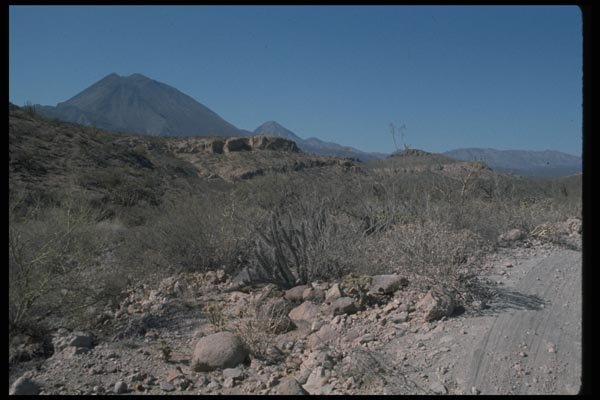 032013 Cone Shaped Mountains, Small Cactus A4 Photo Print