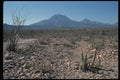 032015 Cacti, Ranch House, Cone Mountains A4 Photo Print