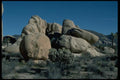 032019 Weather Rounded Rocks With Cholla Cactus A4 Photo Print