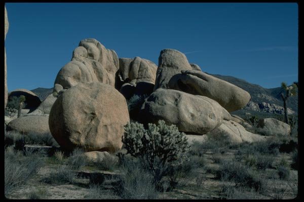 032019 Weather Rounded Rocks With Cholla Cactus A4 Photo Print